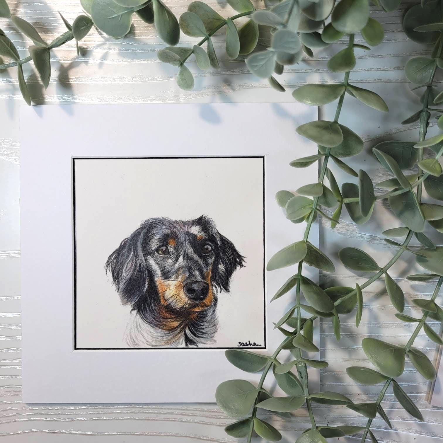 Personalised Miniature Pet Portrait | Custom Coloured Pencil Drawing | Hand Drawn | Unique Pet Gift