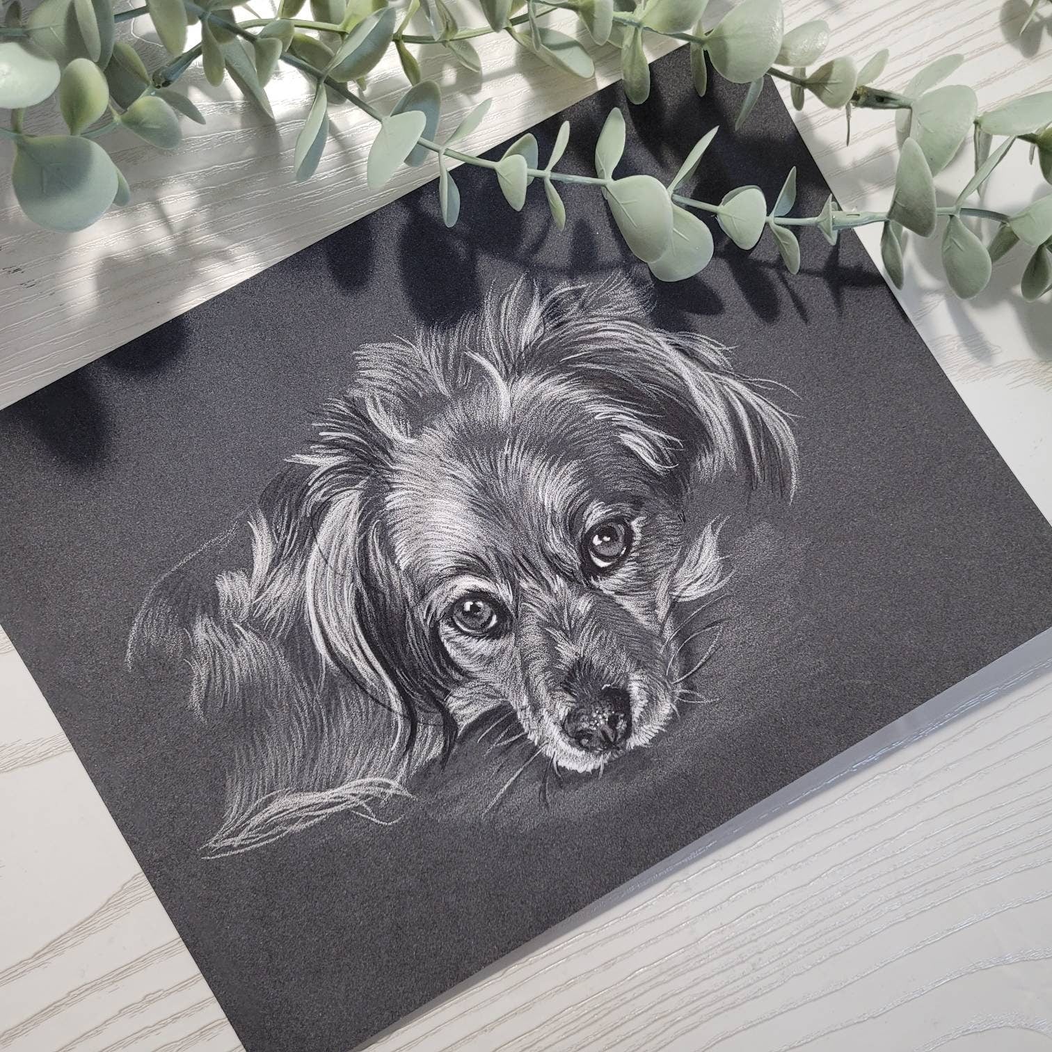 Personalised A4 Monochrome Pet Portrait | Custom Black & White Pencil Sketch | Hand Drawn | Unique Pet Gift