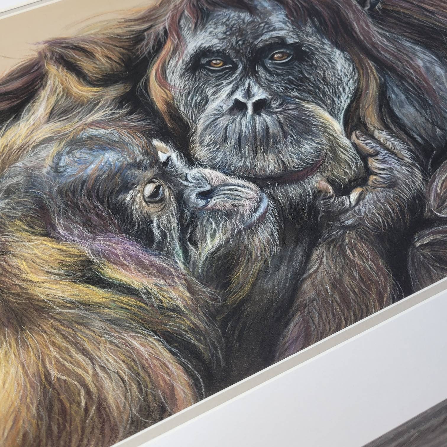 Original Orangutan & Baby Pastel Drawing | 'A Mother's Love' | Framed Wildlife Art | Hand Drawn by Sasha Smith