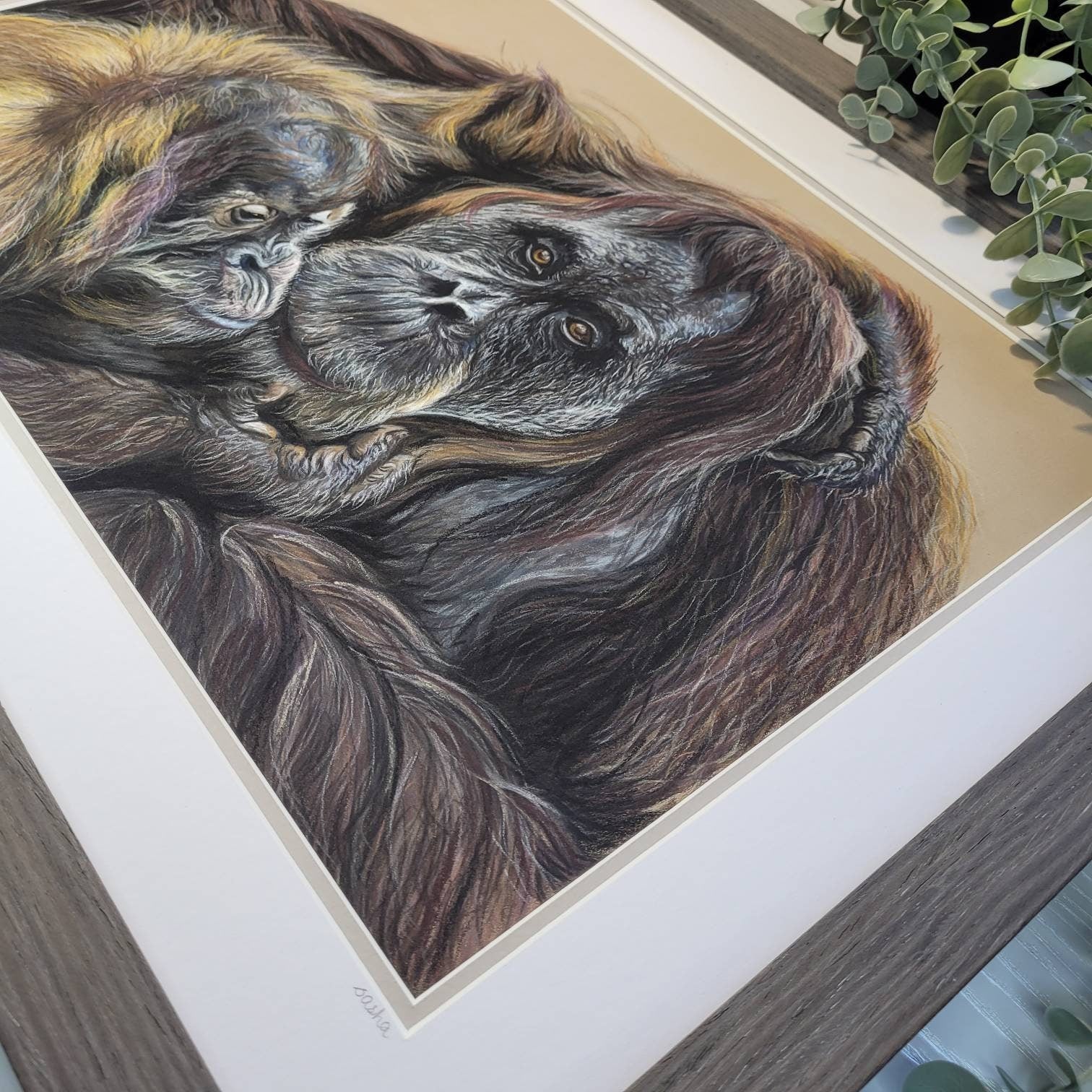 Original Orangutan & Baby Pastel Drawing | 'A Mother's Love' | Framed Wildlife Art | Hand Drawn by Sasha Smith