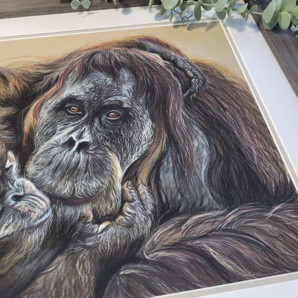 Original Orangutan & Baby Pastel Drawing | 'A Mother's Love' | Framed Wildlife Art | Hand Drawn by Sasha Smith