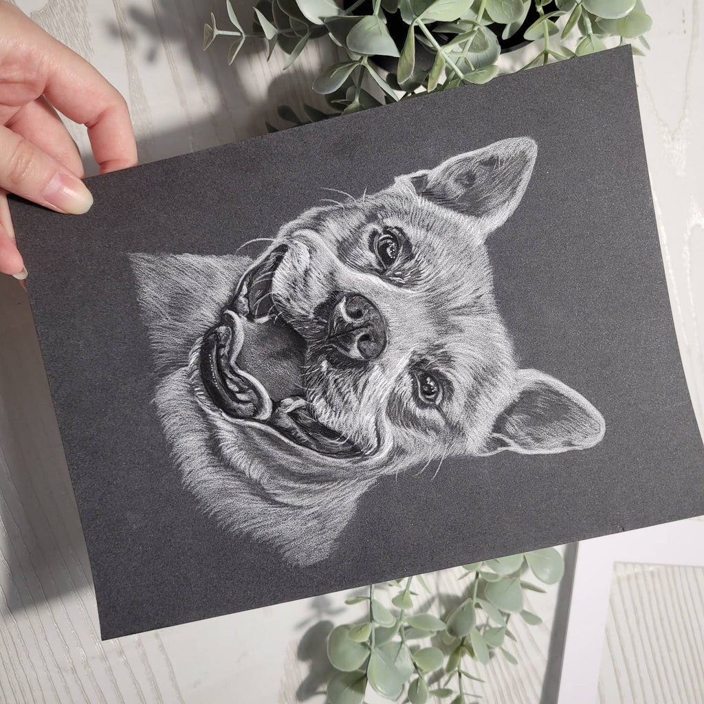 Personalised Monochrome Pet Portrait | Custom Black & White Pencil Sketch | Hand Drawn | Unique Pet Gift