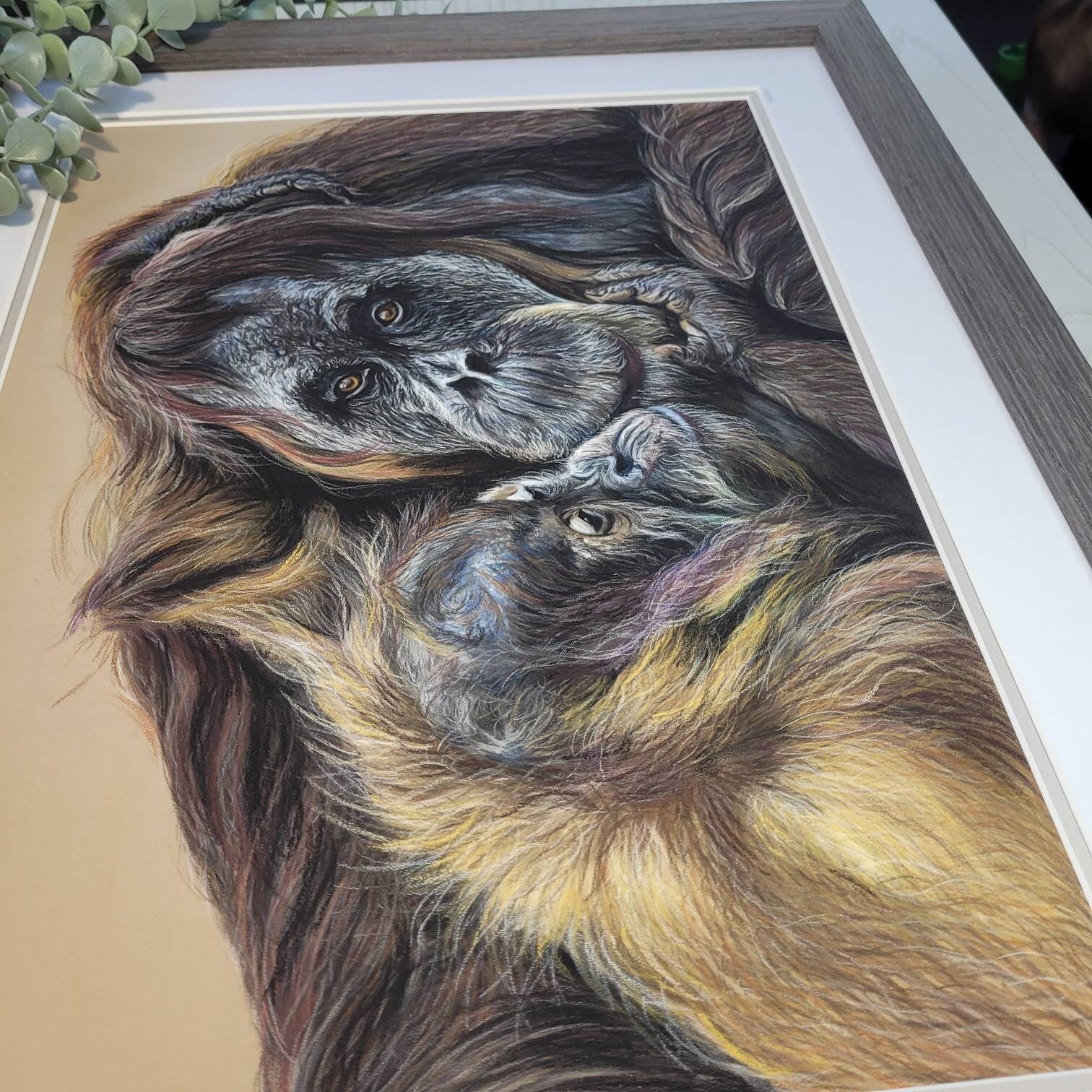 Original Orangutan & Baby Pastel Drawing | 'A Mother's Love' | Framed Wildlife Art | Hand Drawn by Sasha Smith
