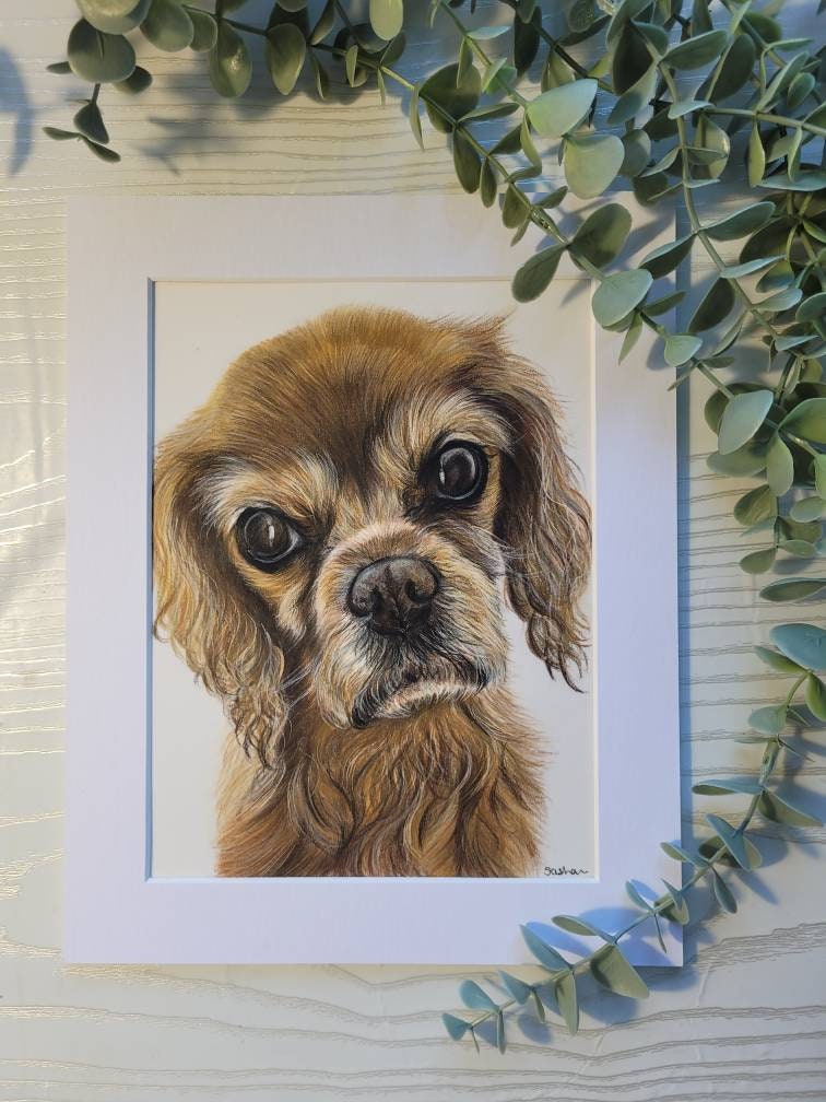 Personalised Pet Portrait Gift Voucher | Hand-Drawn Art | Gift Wrapped & Boxed | Perfect Animal Lover Gift