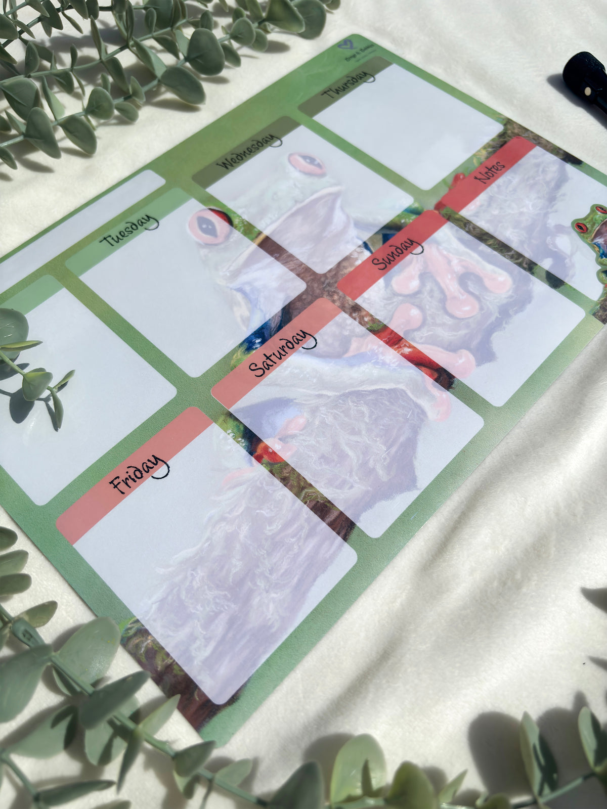 A4 Magnetic Weekly Planner Whiteboard – Red-Eyed Tree Frog Fridge & Surface Organiser