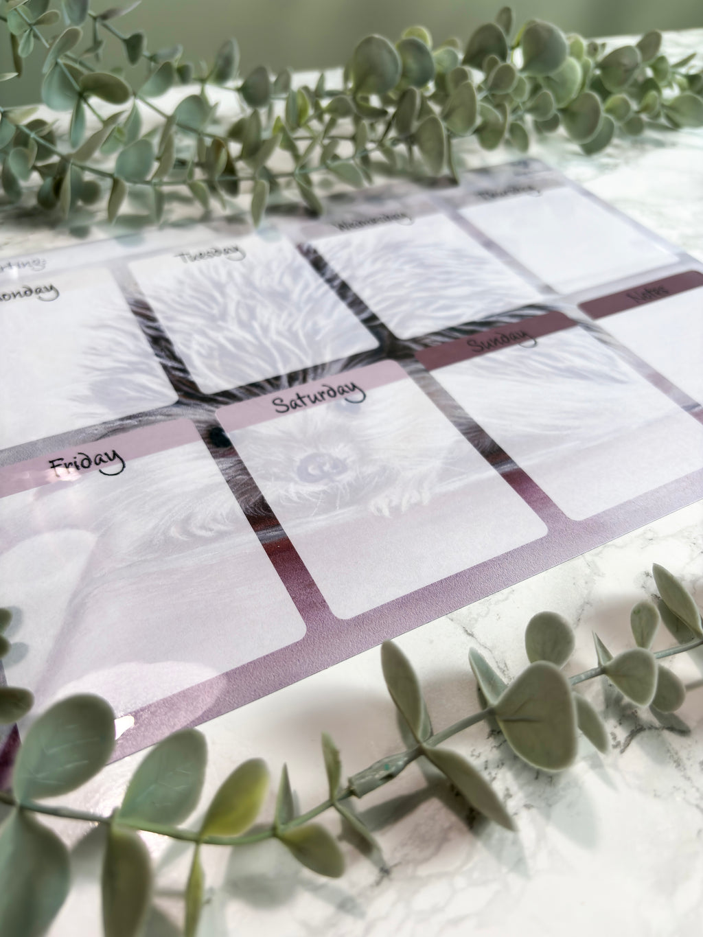 A4 Magnetic Weekly Planner Whiteboard – Hedgehog Fridge & Surface Organiser
