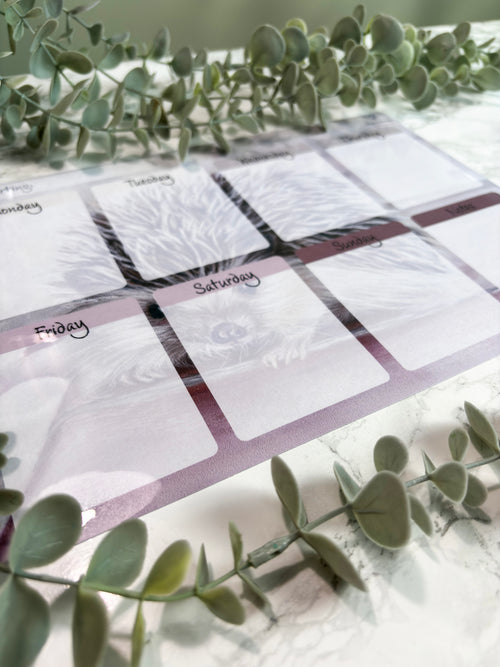 A4 Magnetic Weekly Planner Whiteboard – Hedgehog Fridge & Surface Organiser