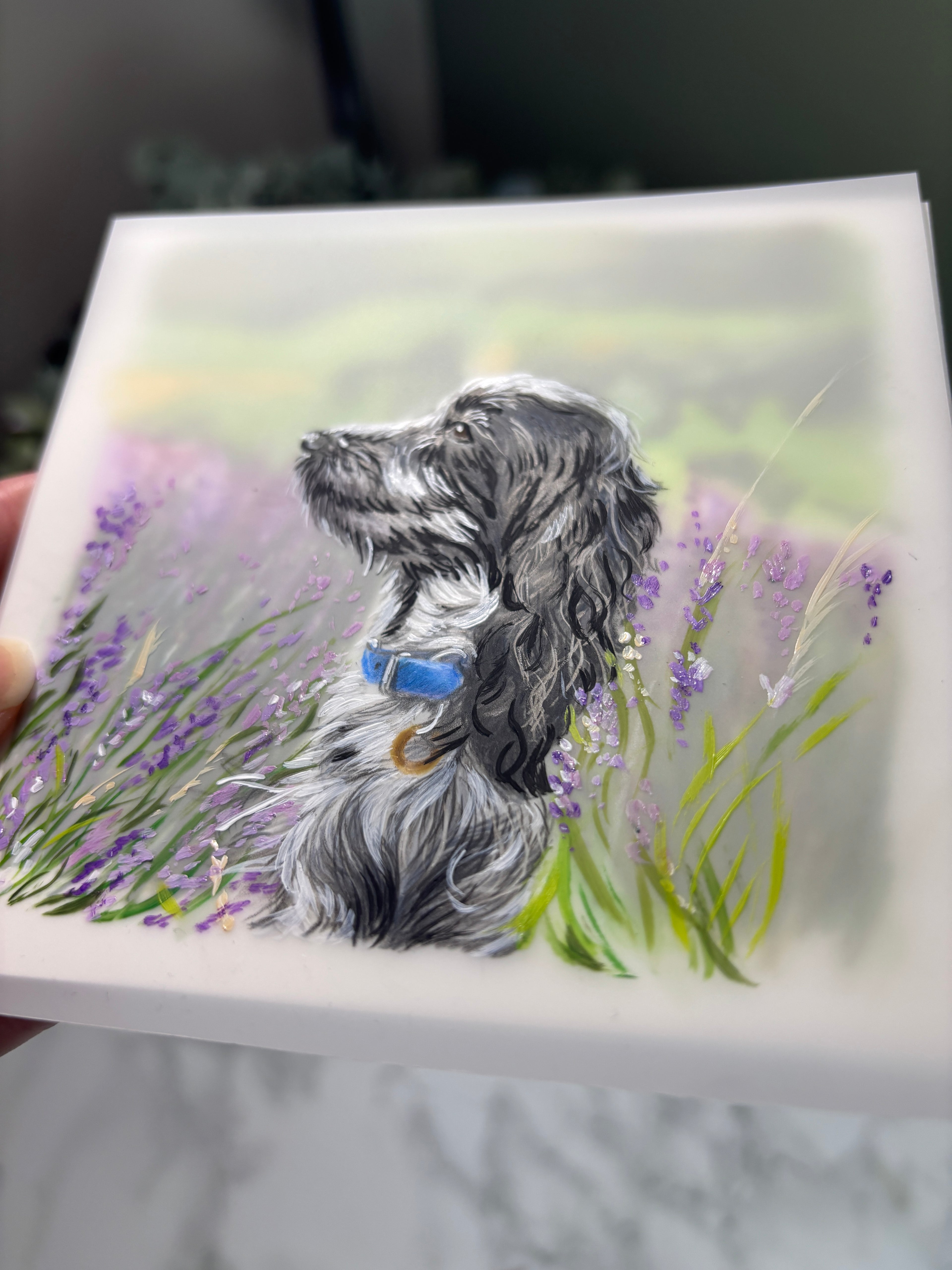 Hand Drawn Miniature Pet Portrait | Layered Coloured Pencil Commission