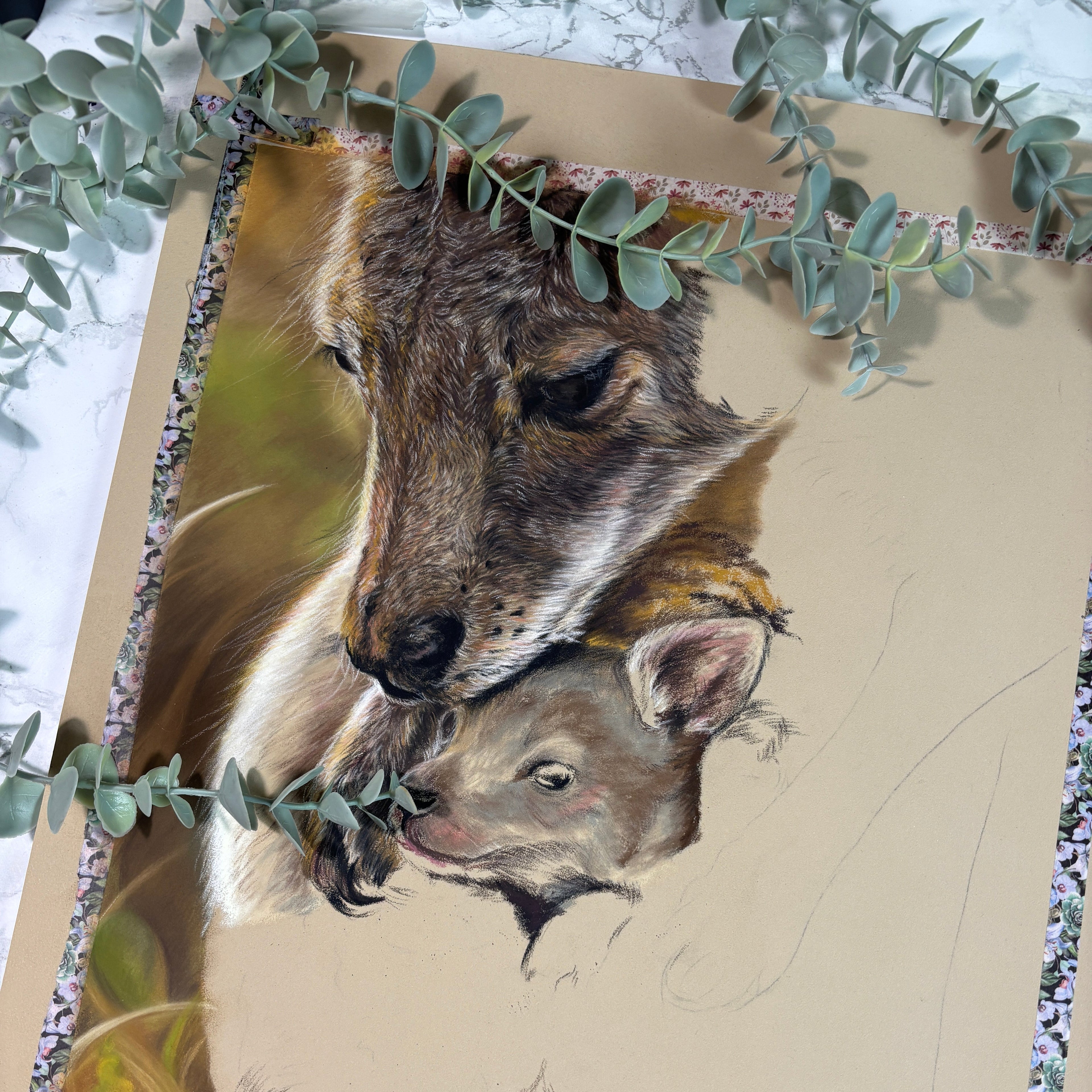 Kangaroo Mother and Baby