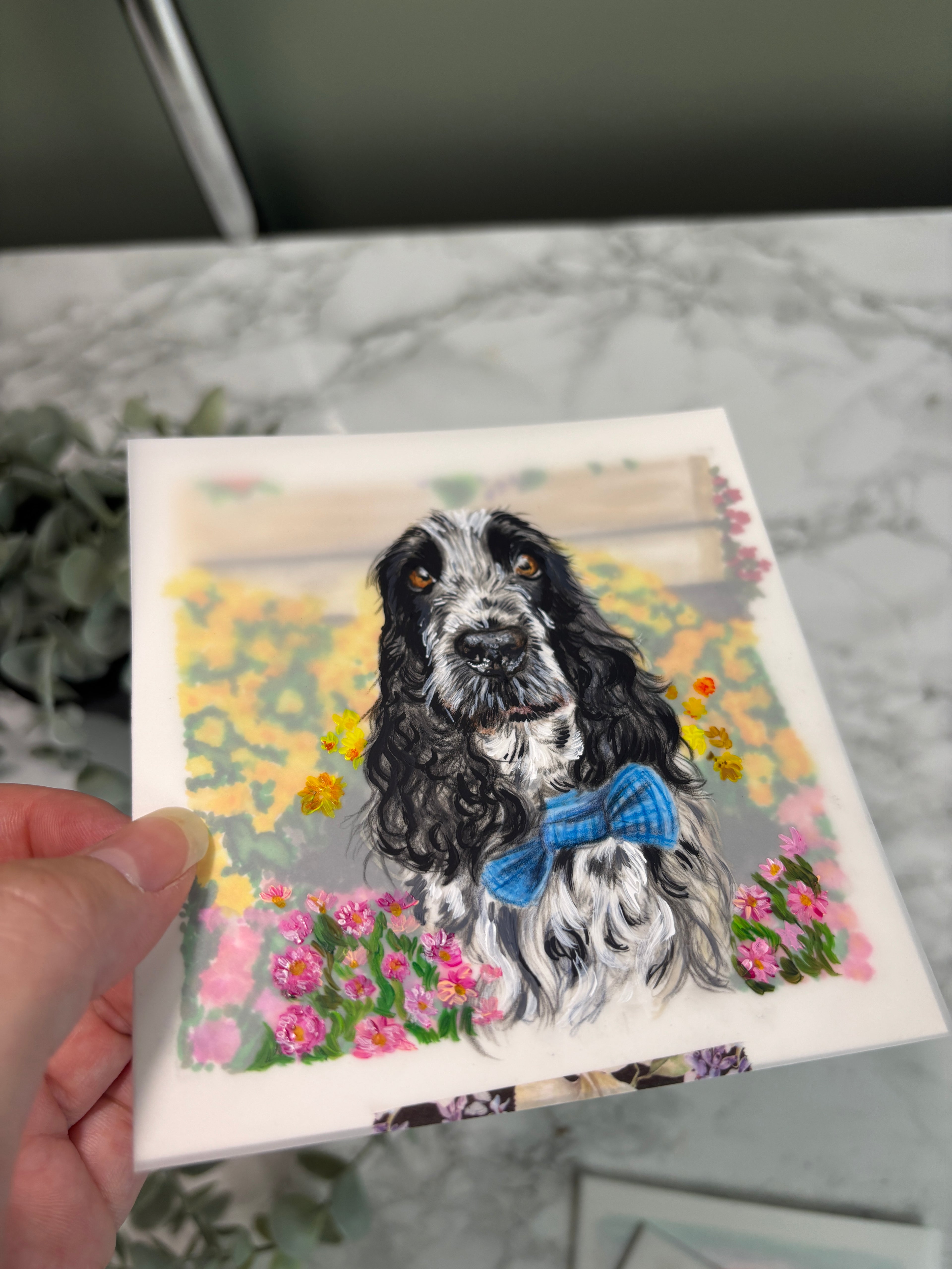 Hand Drawn Miniature Pet Portrait | Layered Coloured Pencil Commission