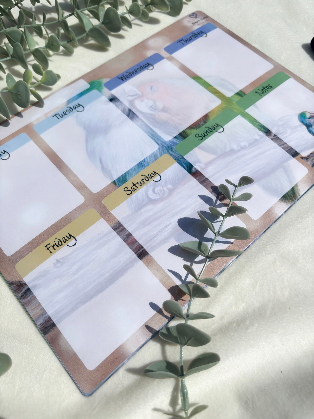 A4 Magnetic Weekly Planner Whiteboard – Lovebirds Fridge & Surface Organiser
