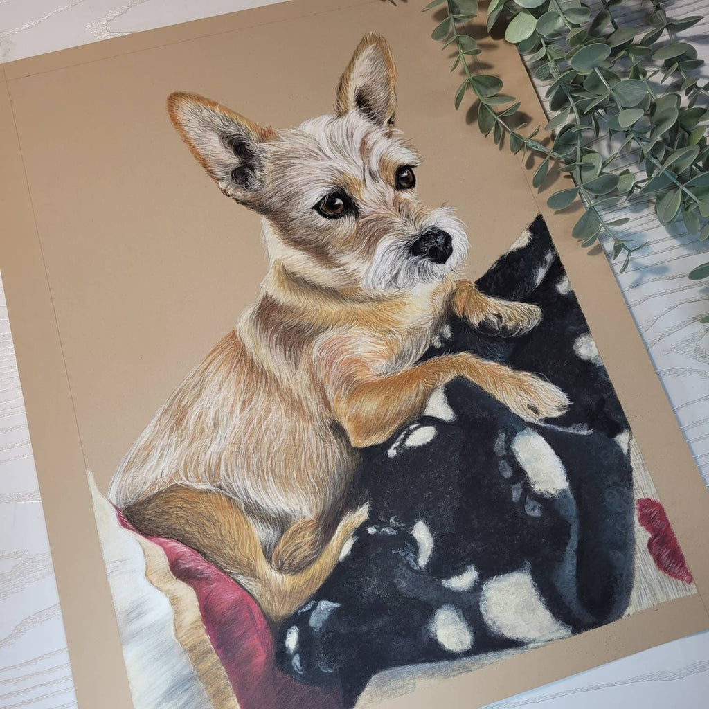 Personalised Pet Portrait Gift Voucher | Hand-Drawn Art | Gift Wrapped & Boxed | Perfect Animal Lover Gift