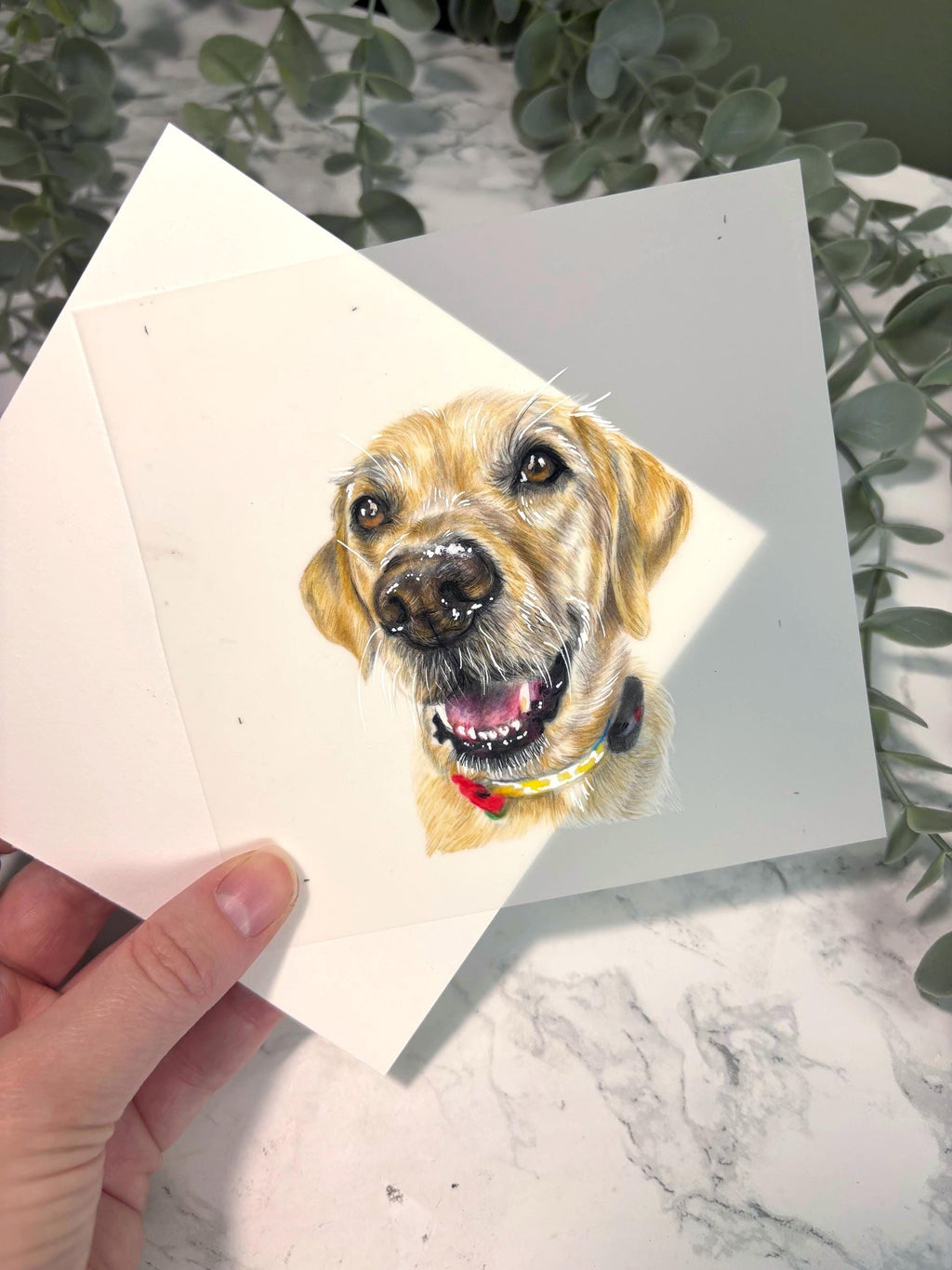 Personalised Miniature Pet Portrait | Custom Coloured Pencil Drawing | Hand Drawn | Unique Pet Gift
