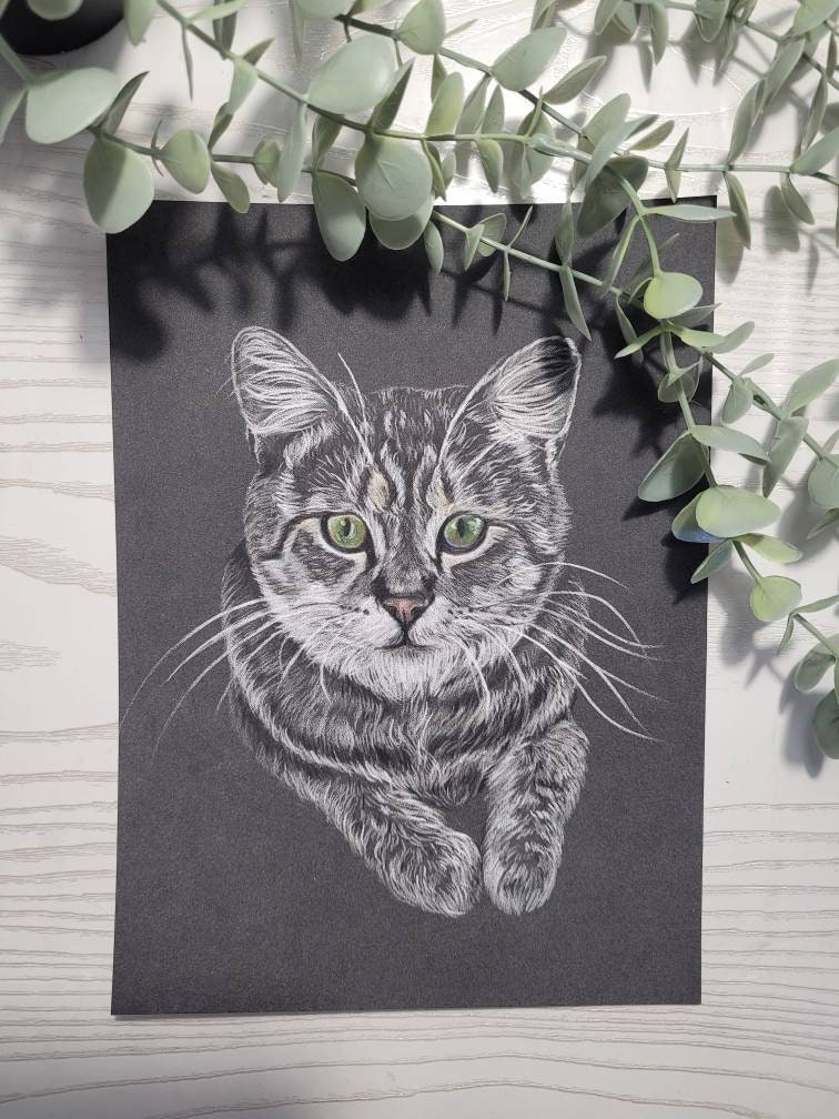 Personalised A4 Monochrome Pet Portrait | Custom Black & White Pencil Sketch | Hand Drawn | Unique Pet Gift