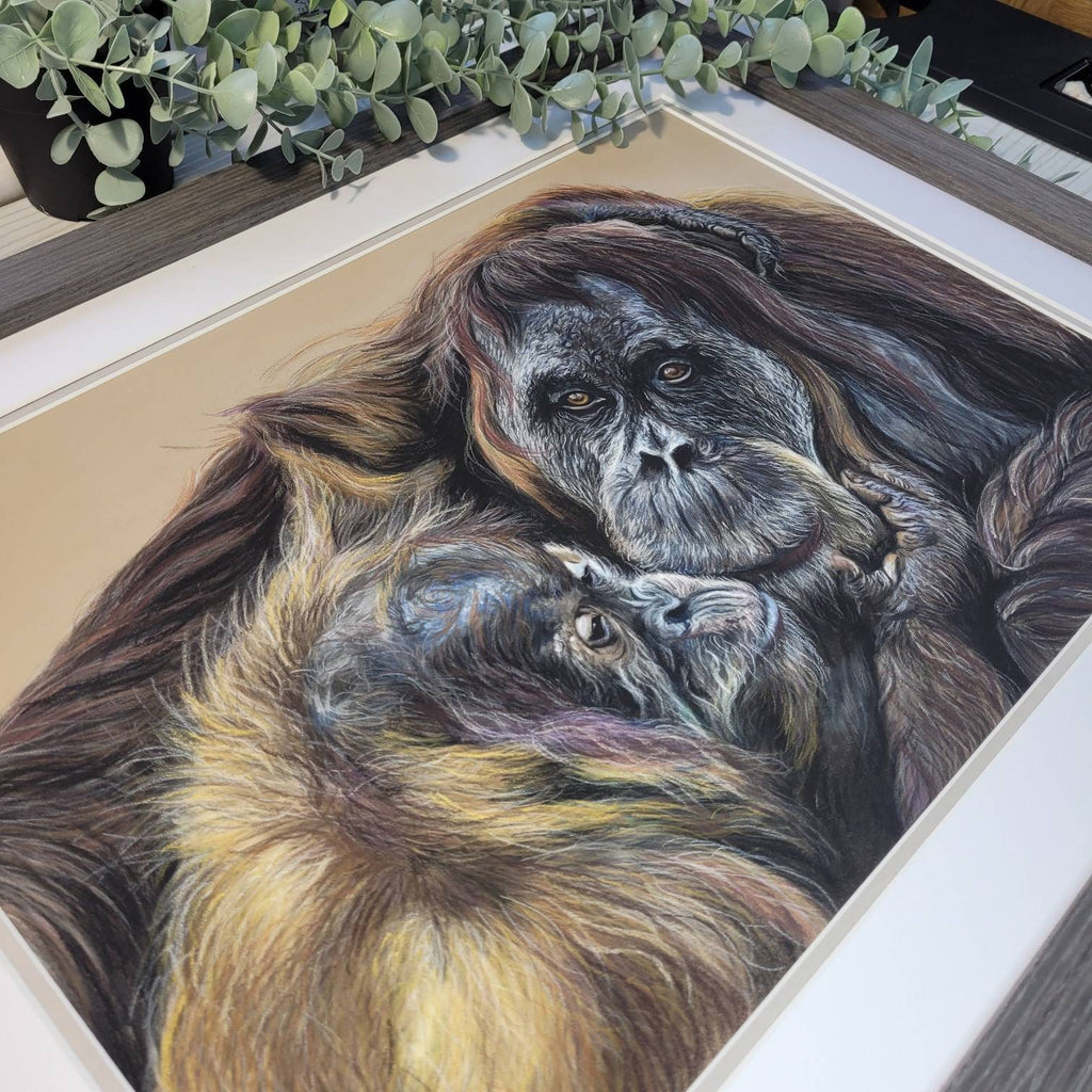 Original Orangutan & Baby Pastel Drawing | 'A Mother's Love' | Framed Wildlife Art | Hand Drawn by Sasha Smith
