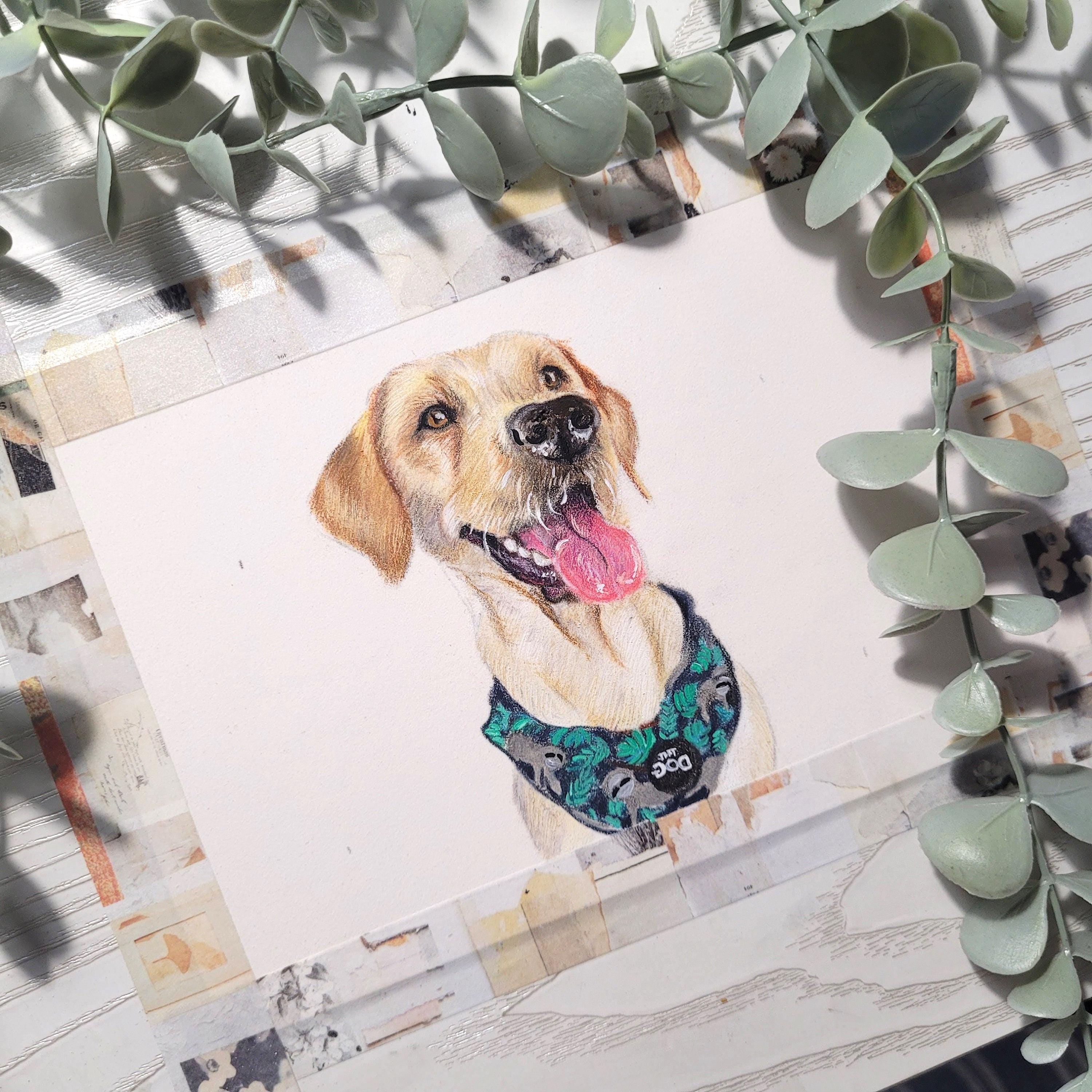 Personalised Miniature Pet Portrait | Custom Coloured Pencil Drawing | Hand Drawn | Unique Pet Gift