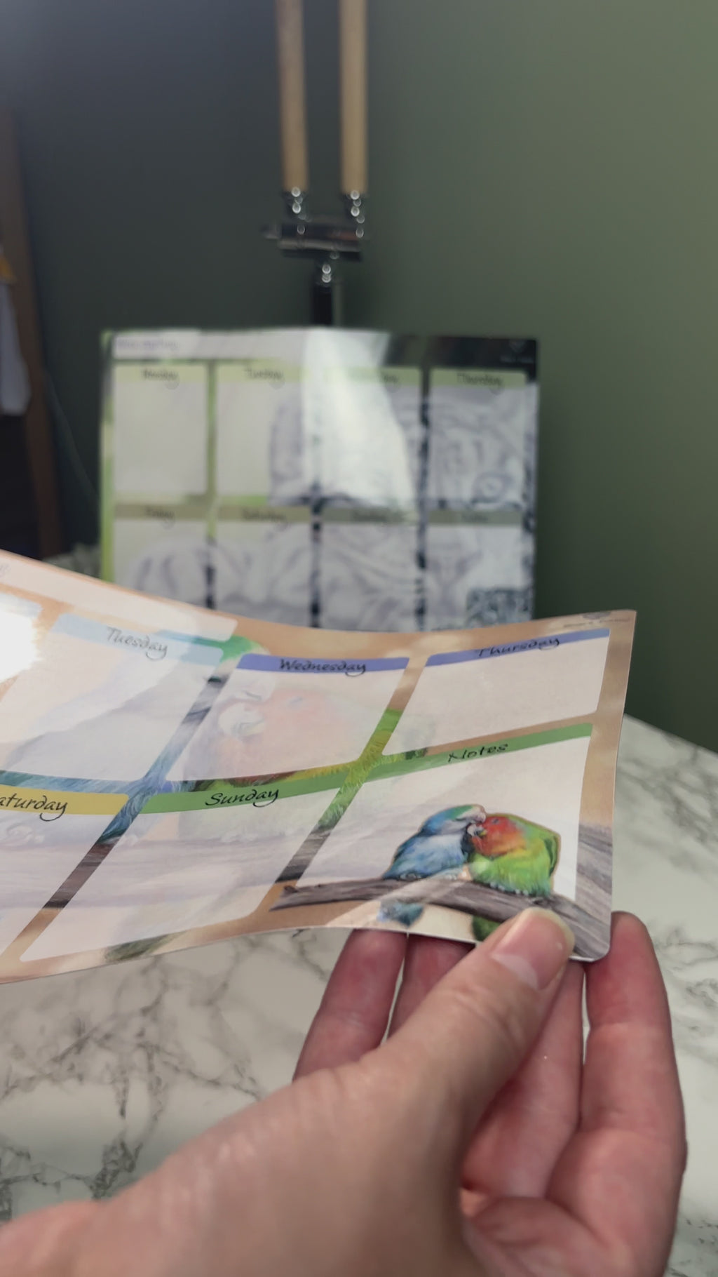 A4 Magnetic Weekly Planner Whiteboard – Lovebirds Fridge & Surface Organiser