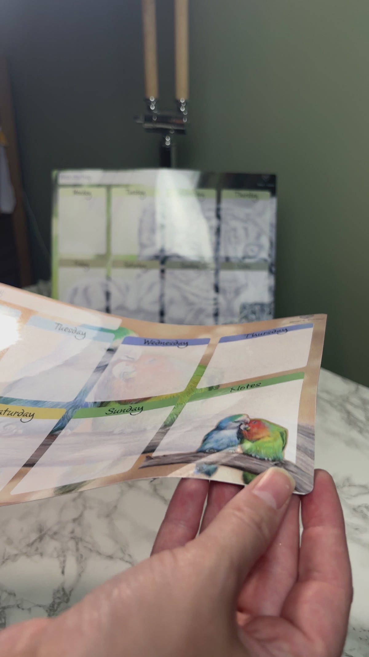 A4 Magnetic Weekly Planner Whiteboard – Lovebirds Fridge & Surface Organiser