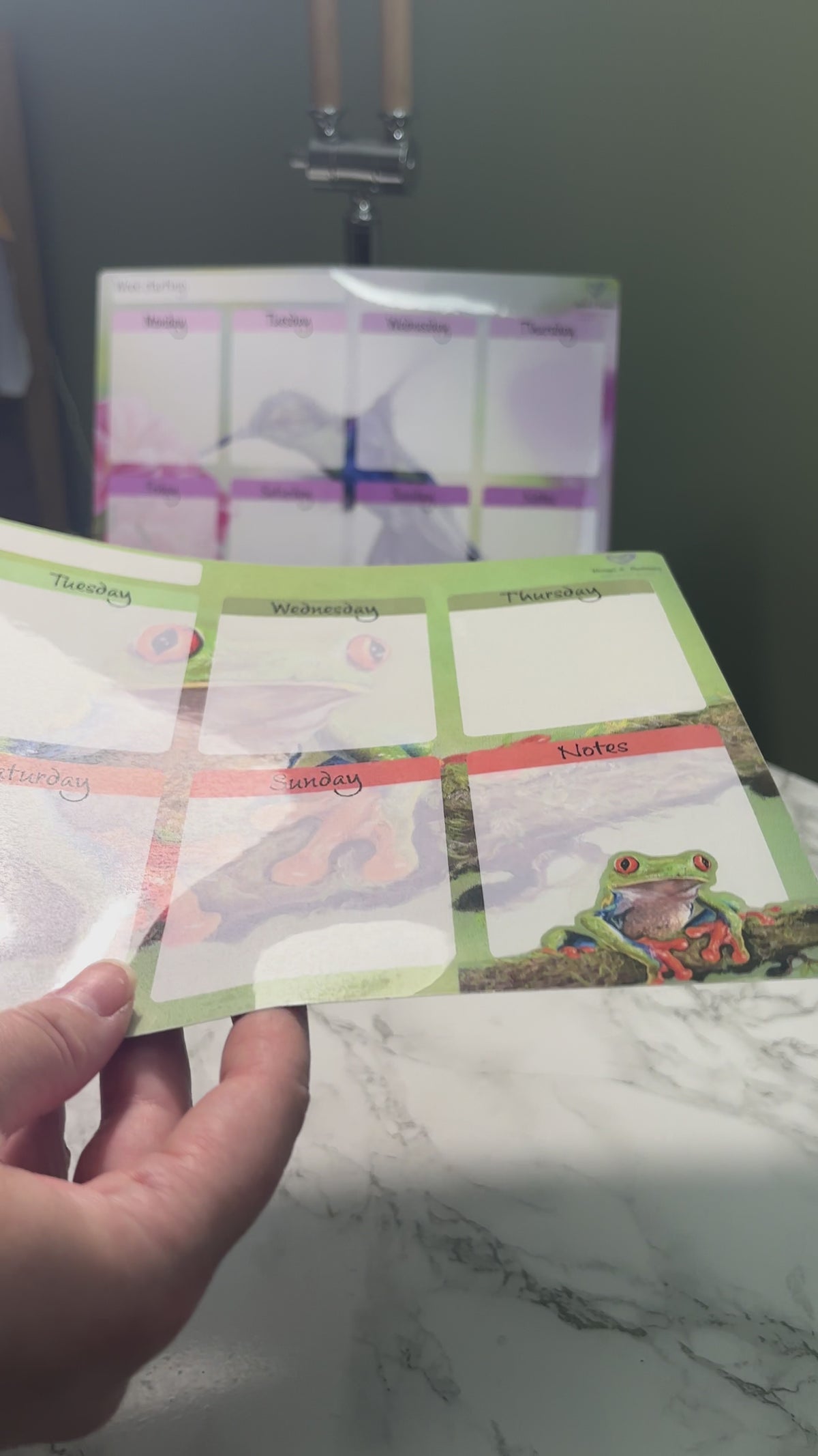 A4 Magnetic Weekly Planner Whiteboard – Red-Eyed Tree Frog Fridge & Surface Organiser